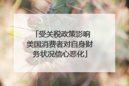 受关税政策影响 美国消费者对自身财务状况信心恶化