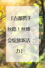 古都携手丝路！丝博会绽放新活力