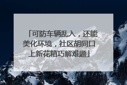 可防车辆乱入，还能美化环境，社区胡同口上新花箱巧解难题