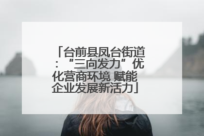 台前县凤台街道：“三向发力”优化营商环境 赋能企业发展新活力