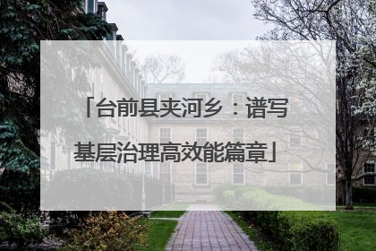 台前县夹河乡：谱写基层治理高效能篇章