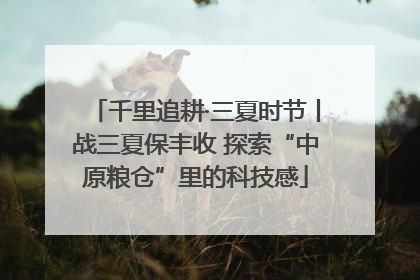 千里追耕·三夏时节丨战三夏保丰收 探索“中原粮仓”里的科技感