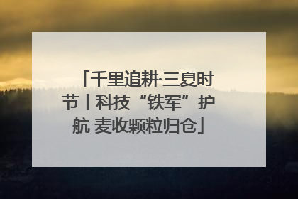 千里追耕·三夏时节丨科技“铁军”护航 麦收颗粒归仓