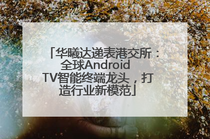 华曦达递表港交所：全球Android TV智能终端龙头，打造行业新模范