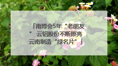 南博会5年“老朋友” 云铝股份不断擦亮云南制造“绿名片”