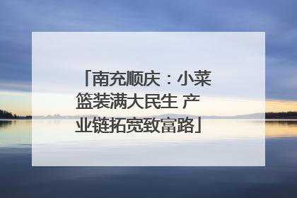 南充顺庆：小菜篮装满大民生 产业链拓宽致富路