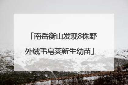 南岳衡山发现8株野外绒毛皂荚新生幼苗