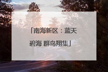 南海新区：蓝天碧海 群鸟翔集