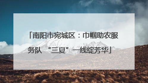 南阳市宛城区：巾帼助农服务队 “三夏”一线绽芳华