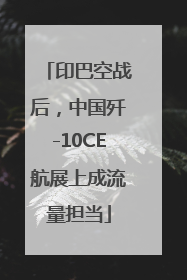 印巴空战后，中国歼-10CE航展上成流量担当