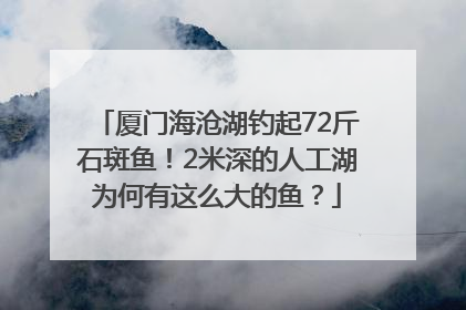 厦门海沧湖钓起72斤石斑鱼！2米深的人工湖为何有这么大的鱼？