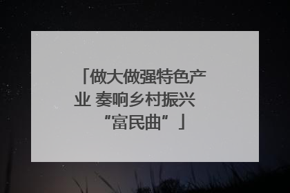 做大做强特色产业 奏响乡村振兴“富民曲”