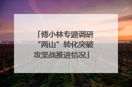 傅小林专题调研“两山”转化突破攻坚战推进情况