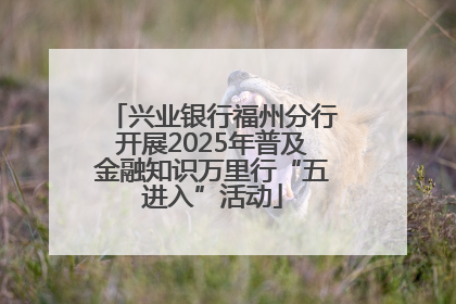 兴业银行福州分行开展2025年普及金融知识万里行“五进入”活动