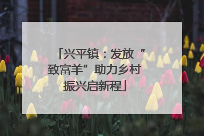 兴平镇：发放“致富羊”助力乡村振兴启新程