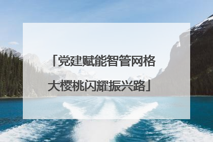 党建赋能智管网格 大樱桃闪耀振兴路