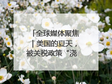 全球媒体聚焦｜美国的夏天，被关税政策“浇灭”了热情