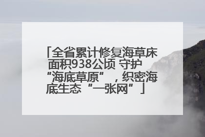 全省累计修复海草床面积938公顷 守护“海底草原”，织密海底生态“一张网”