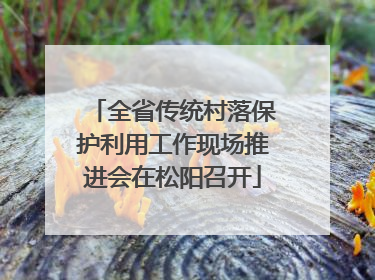 全省传统村落保护利用工作现场推进会在松阳召开