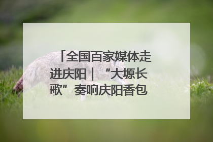 全国百家媒体走进庆阳｜“大塬长歌”奏响庆阳香包民俗文化节序曲