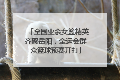全国业余女篮精英齐聚岳阳，全运会群众篮球预赛开打