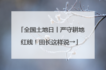 全国土地日丨严守耕地红线！田长这样说→