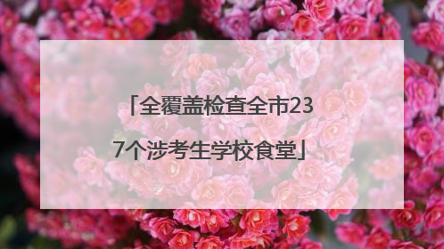 全覆盖检查全市237个涉考生学校食堂