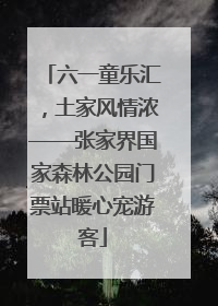 六一童乐汇，土家风情浓——张家界国家森林公园门票站暖心宠游客