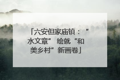 六安但家庙镇：“水文章” 绘就“和美乡村”新画卷