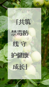 共筑禁毒防线 守护健康成长