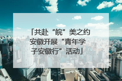 共赴“皖”美之约 安徽开展“青年学子安徽行”活动