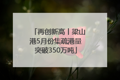 再创新高丨梁山港5月份集疏港量突破350万吨