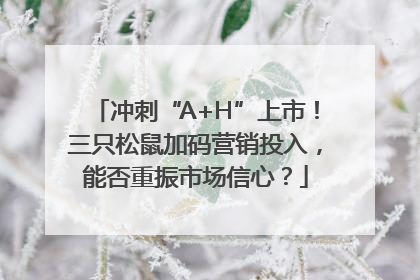 冲刺“A+H”上市！三只松鼠加码营销投入，能否重振市场信心？