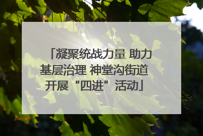 凝聚统战力量 助力基层治理 神堂沟街道开展“四进”活动