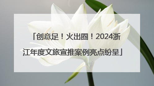 创意足！火出圈！2024浙江年度文旅宣推案例亮点纷呈