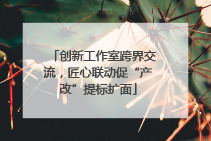 创新工作室跨界交流，匠心联动促“产改”提标扩面