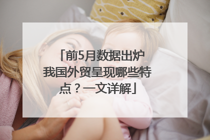 前5月数据出炉 我国外贸呈现哪些特点？一文详解