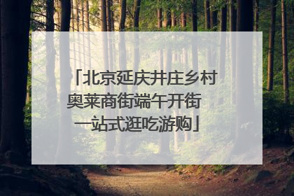 北京延庆井庄乡村奥莱商街端午开街 一站式逛吃游购