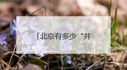 北京有多少“井”？它们串联起北京的过去与现在、烟火与诗意