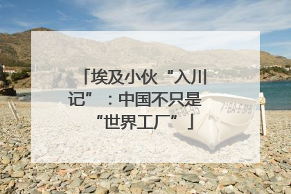 埃及小伙“入川记”：中国不只是“世界工厂”