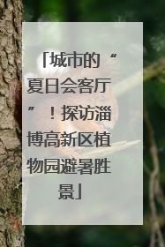 城市的“夏日会客厅”！探访淄博高新区植物园避暑胜景