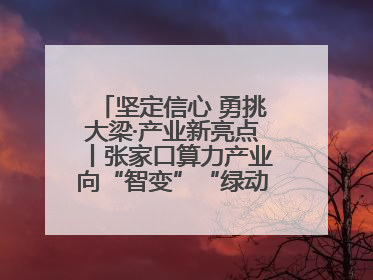 坚定信心 勇挑大梁·产业新亮点丨张家口算力产业向“智变”“绿动”跃升