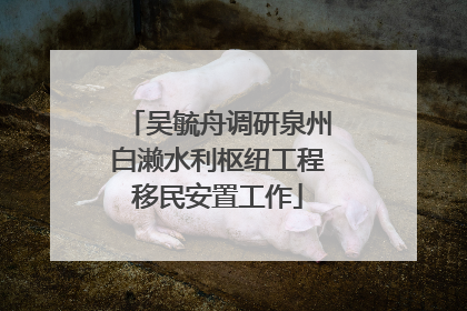 吴毓舟调研泉州白濑水利枢纽工程移民安置工作