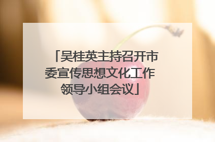 吴桂英主持召开市委宣传思想文化工作领导小组会议