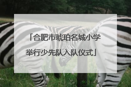 合肥市琥珀名城小学举行少先队入队仪式