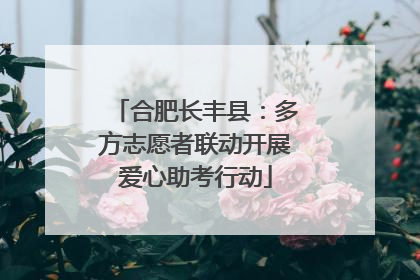合肥长丰县：多方志愿者联动开展爱心助考行动