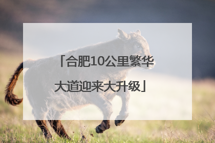 合肥10公里繁华大道迎来大升级