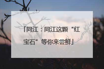 同江：同江这颗“红宝石”等你来尝鲜