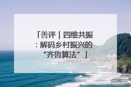 善评｜四维共振：解码乡村振兴的“齐鲁算法”