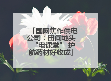 国网焦作供电公司：田间地头“电课堂” 护航药材好收成